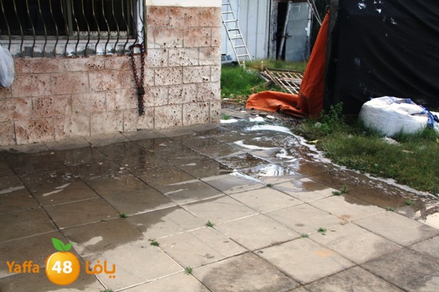 majarydakka (11).JPG